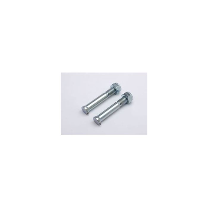 Renthal Spare Bolts M10X77mm