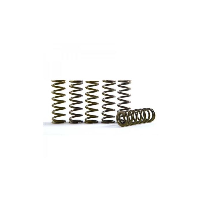 Hinson Clutch Spring Kit RMZ450 15-..